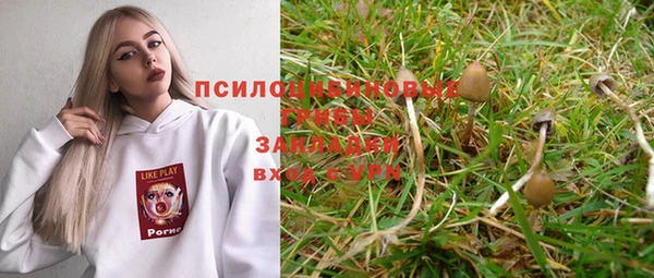 твердый Тында
