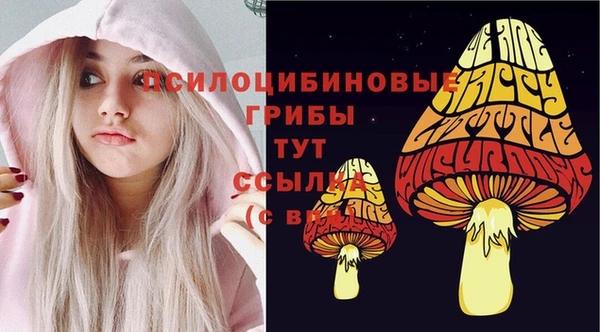 твердый Тында