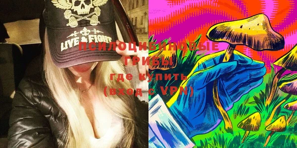 твердый Тында