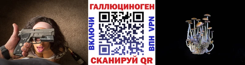 Псилоцибиновые грибы Magic Shrooms  Купить  Избербаш 