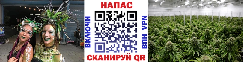 Купить где  Избербаш  Марихуана гибрид 